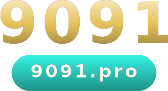 9091 logo